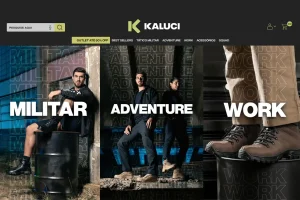 Leia mais sobre o artigo Shoppub: Guia Completo para Alavancar Seu E-commerce